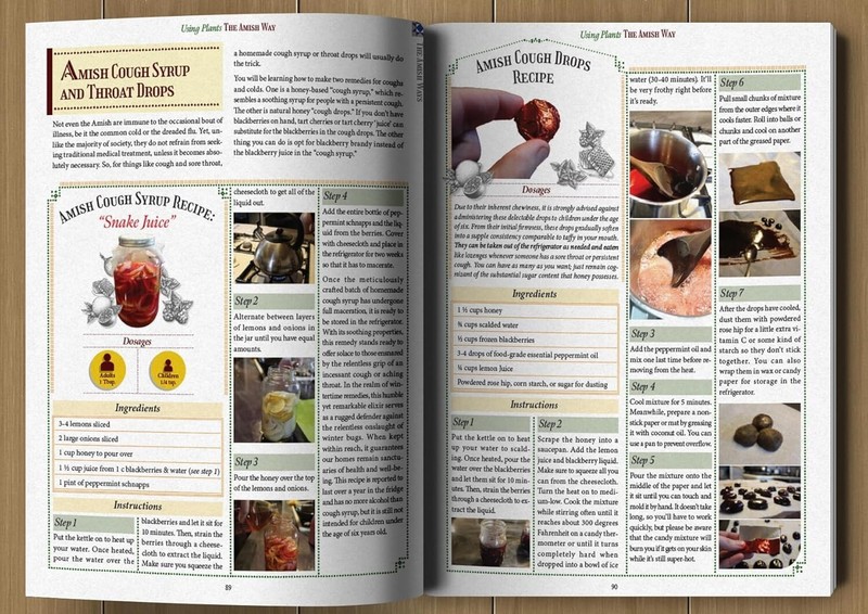 The Amish Ways (paperback with color pictures) gallery